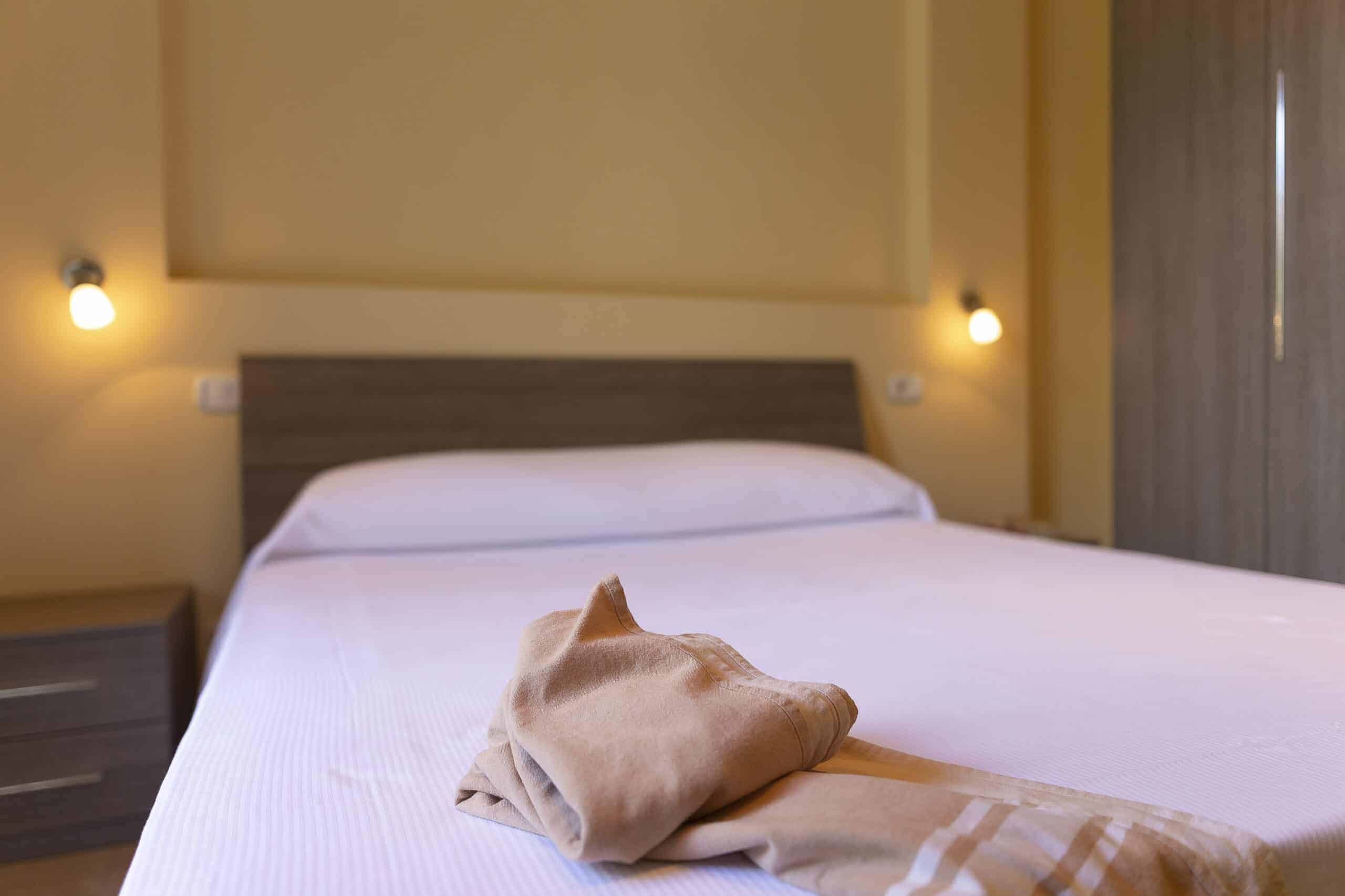 camera doppia economy dell'Hotel Guerrini con letto matrimoniale,